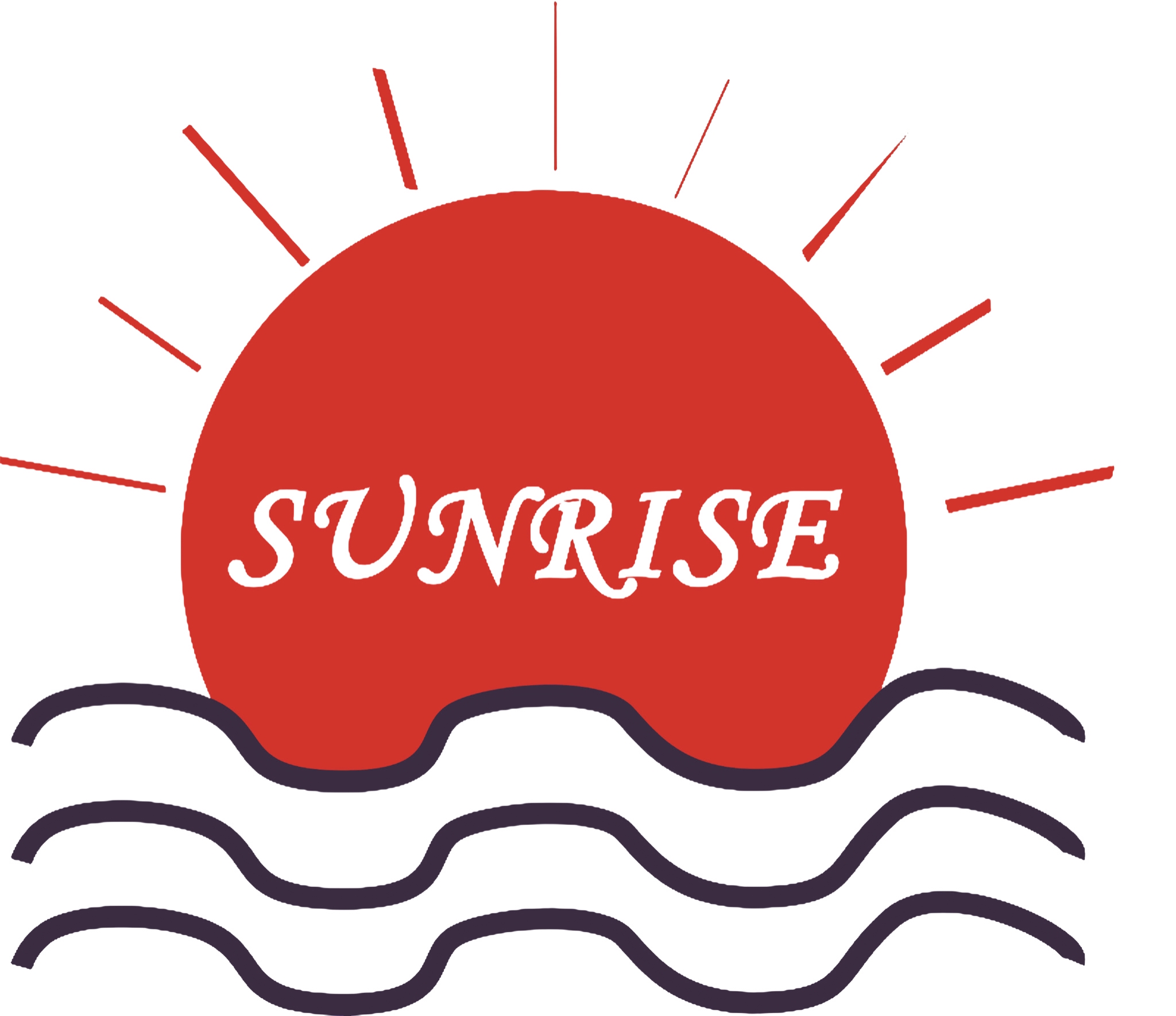 Xi'an Sunrise Industrial Co.,Ltd