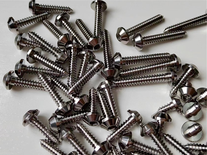 Titanium countersunk screws