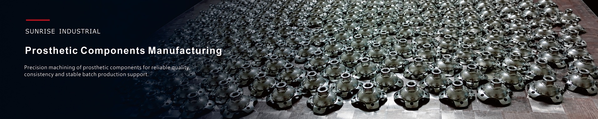 Prosthetic Components Manufacturer, Lower Limb Prosthetic Components Manufacturer, Custom Titanium Components