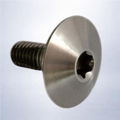 Custom Titanium Wide Head Torx Screw