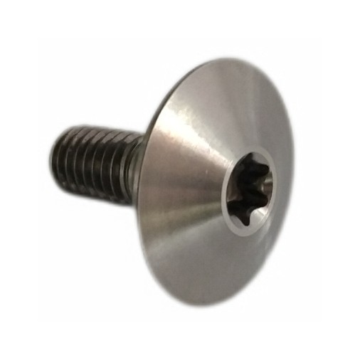 Custom Titanium Wide Head Torx Screw