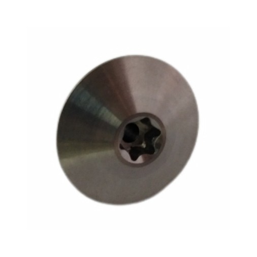 Custom Titanium Wide Head Torx Screw