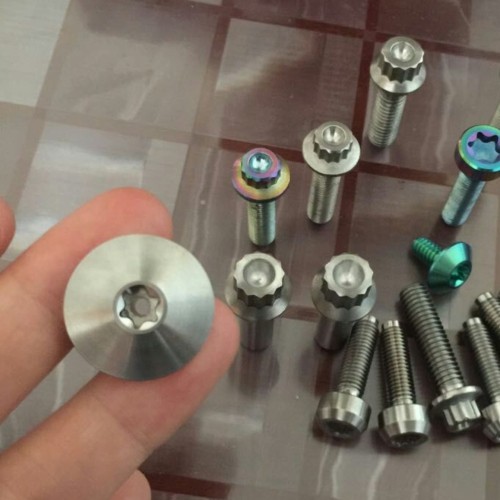 Custom Titanium Wide Head Torx Screw