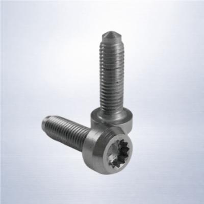 Titanium Split Rim Bolt