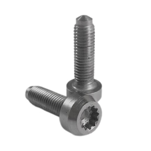 Titanium Split Rim Bolt