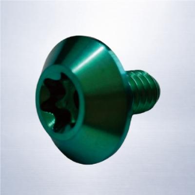 Titanium Torx Button Head Screw