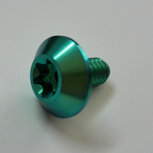Titanium Torx Button Head Screw
